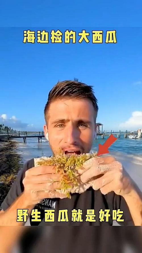 娱乐吃瓜配音视频大全最新,笑料百出,精彩纷呈!