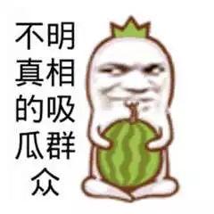 娱乐吃瓜君熊猫头,娱乐吃瓜君带你领略萌宠魅力