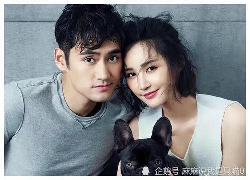 娱乐圈吃瓜爆料小兔子,小兔子吃瓜爆料大揭秘